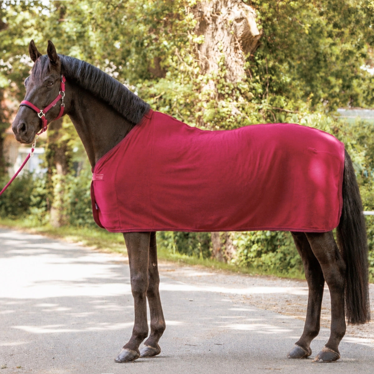 Abschwitzdecke Noble – Fleece mit Kordel