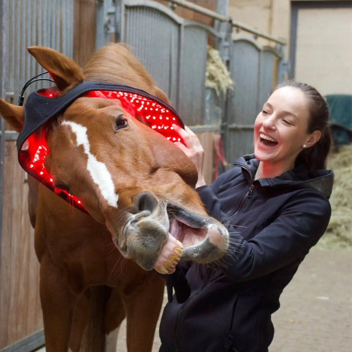 LuxMy Lichttherapie - Genick Pad - IQ Horse
