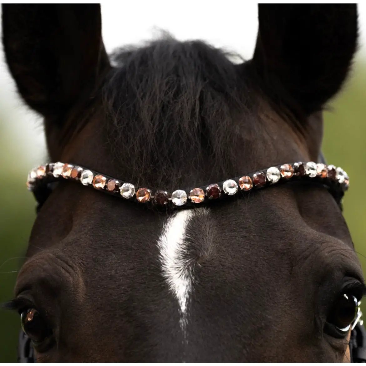 Kavalkade Stirnband Burgundy - IQ Horse