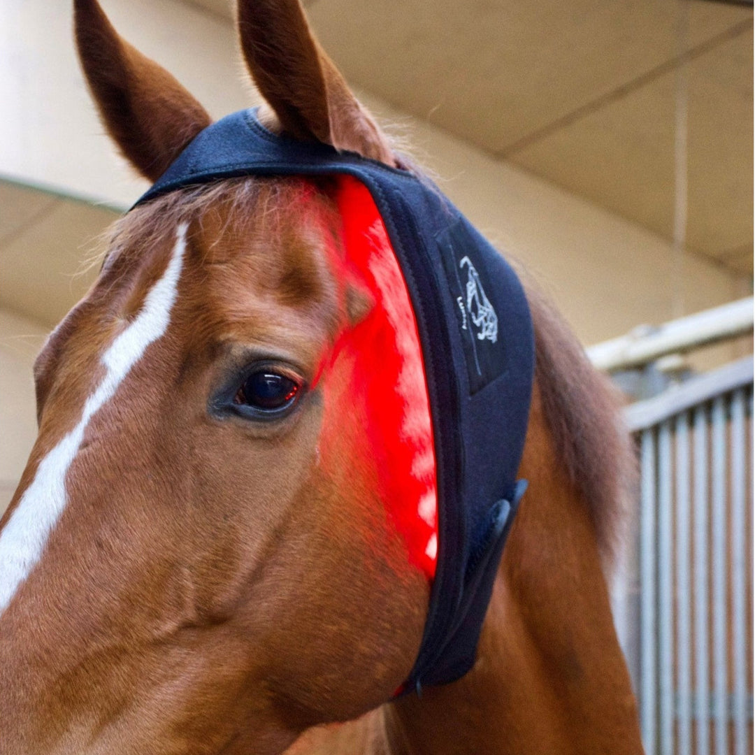 LuxMy Lichttherapie-Genick Pad - IQ Horse