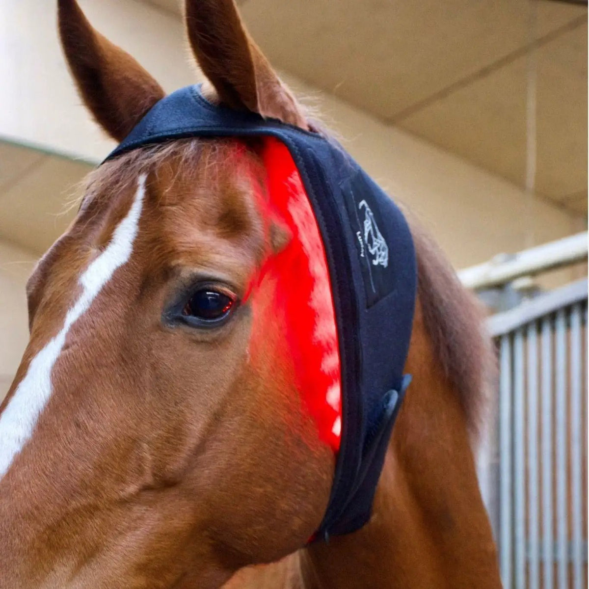 LuxMy Lichttherapie - Genick Pad - IQ Horse