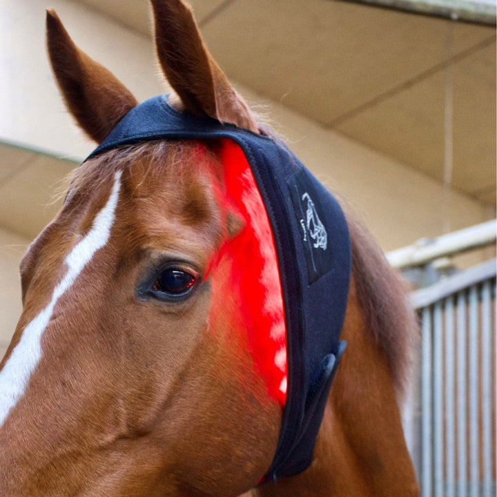 LuxMy Lichttherapie-Genick Pad - IQ Horse