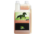 Bense & Eicke MSM + Glucosamine 1000 ml - IQ Horse