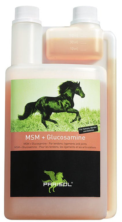 Bense & Eicke MSM + Glucosamine 1000 ml - IQ Horse