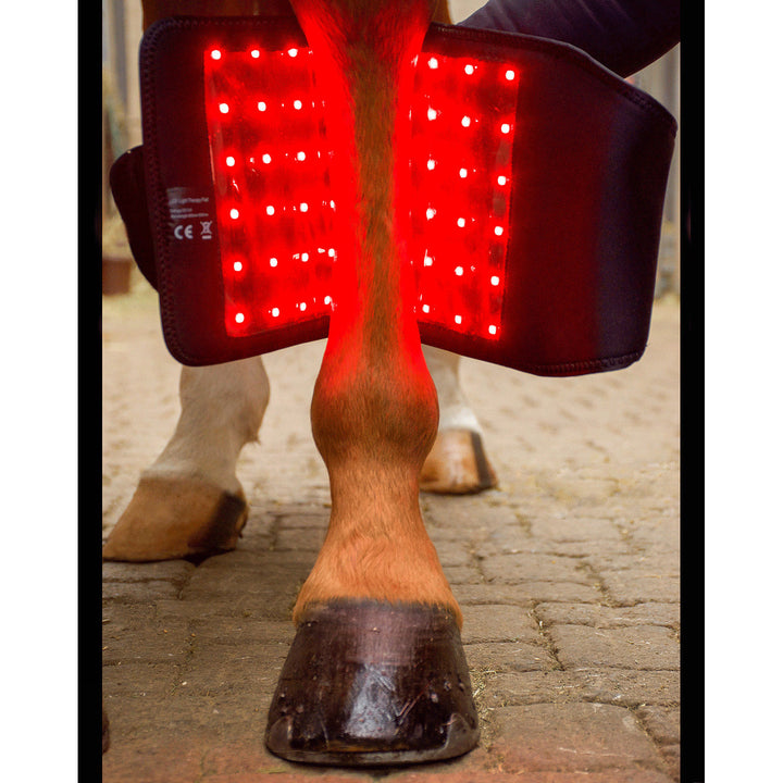 LuxMy Lichttherapie Gamaschen Set, Tief - IQ Horse