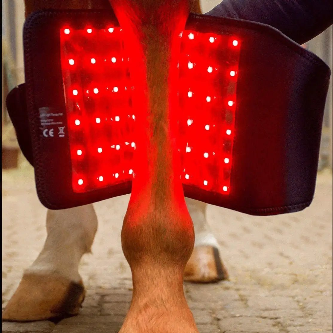 LuxMy S - Lichttherapie - Pad - IQ Horse