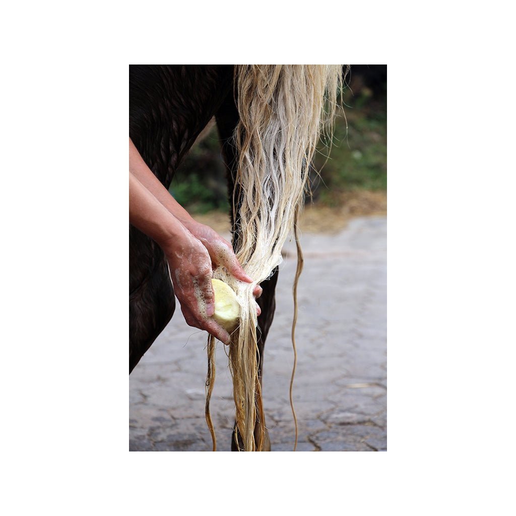 Bense & Eicke HaarFein - Die Seife aus dem Sack 100g - IQ Horse