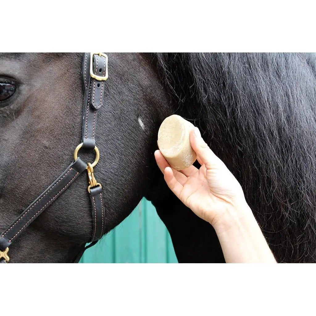 Bense & Eicke HautFein - Die Seife aus dem Sack 100g - IQ Horse