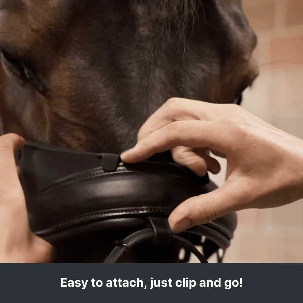 r3voband 3D gedrucktes Nasenriemen - Polster - IQ Horse