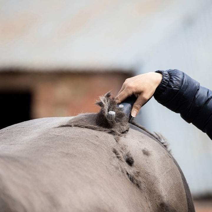 WAHL "Eclipse" - Schermaschine - Akku, standard, Uni - IQ Horse