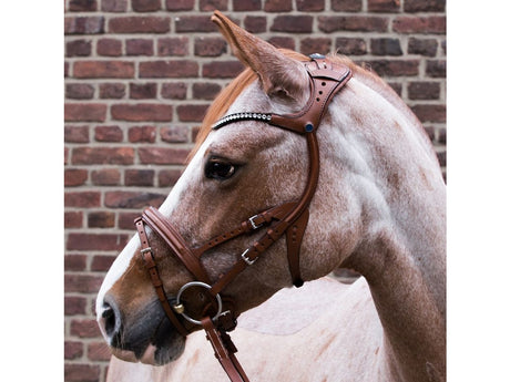 Stübben Trensenzaum 2510 Freedom mit Stirnband Magic Tack - IQ Horse