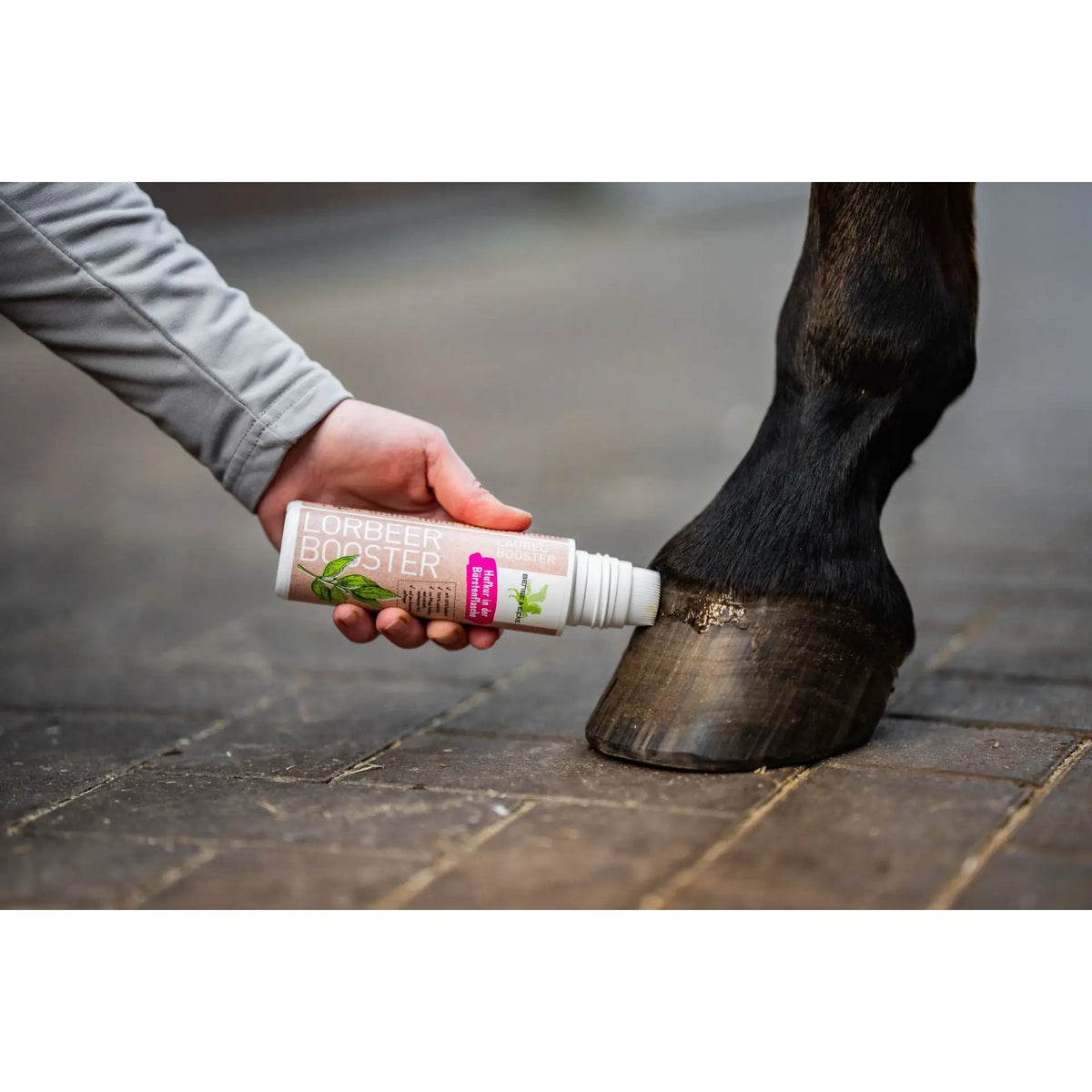 Bense & Eicke LorbeerBooster ,200 ml - IQ Horse