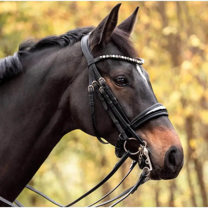 Kandare Selina – deutsches Leder mit schwedischem Reithalfter - IQ Horse