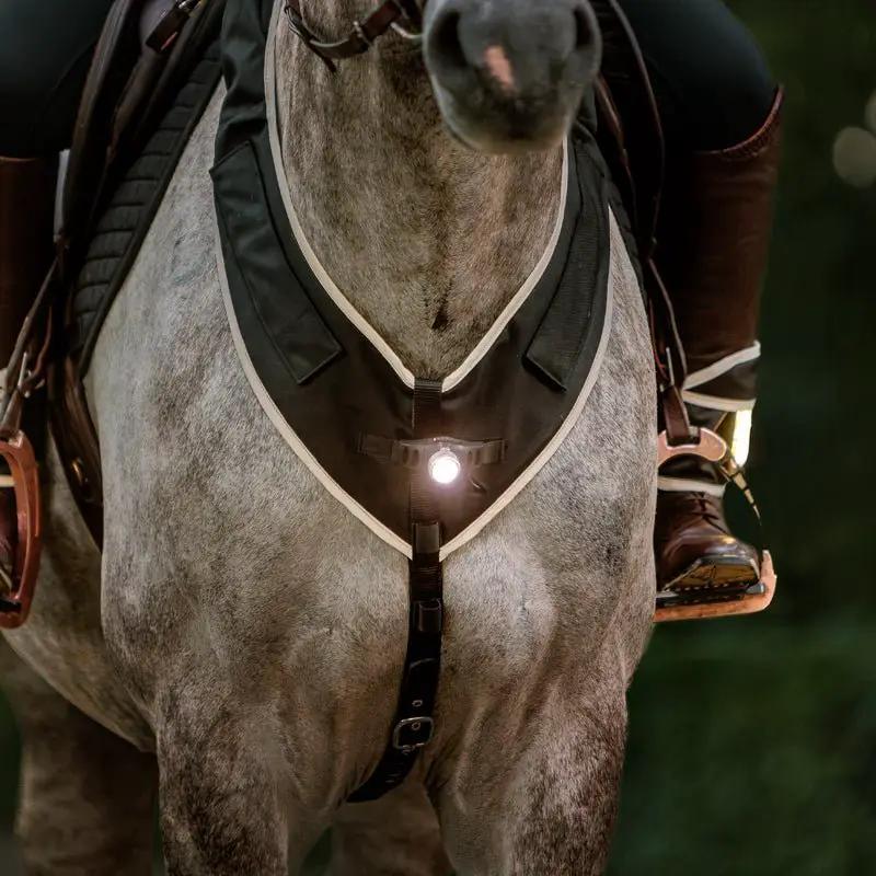 Kavalkade Horselight Set 1 - VZ + Sattelhusse inkl. Leuchten - IQ Horse