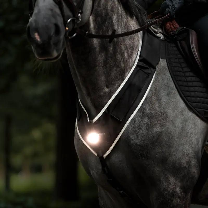 Kavalkade Vorderzeug "Horselight" - weiße Frontleuchte - IQ Horse