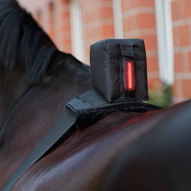 Horselight Bauchgurt mit roter Leuchte