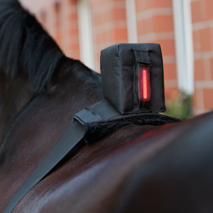Horselight Bauchgurt mit roter Leuchte
