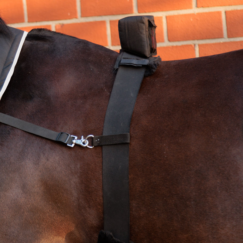 Bauchgurt Horselight – rote LED Rückleuchte