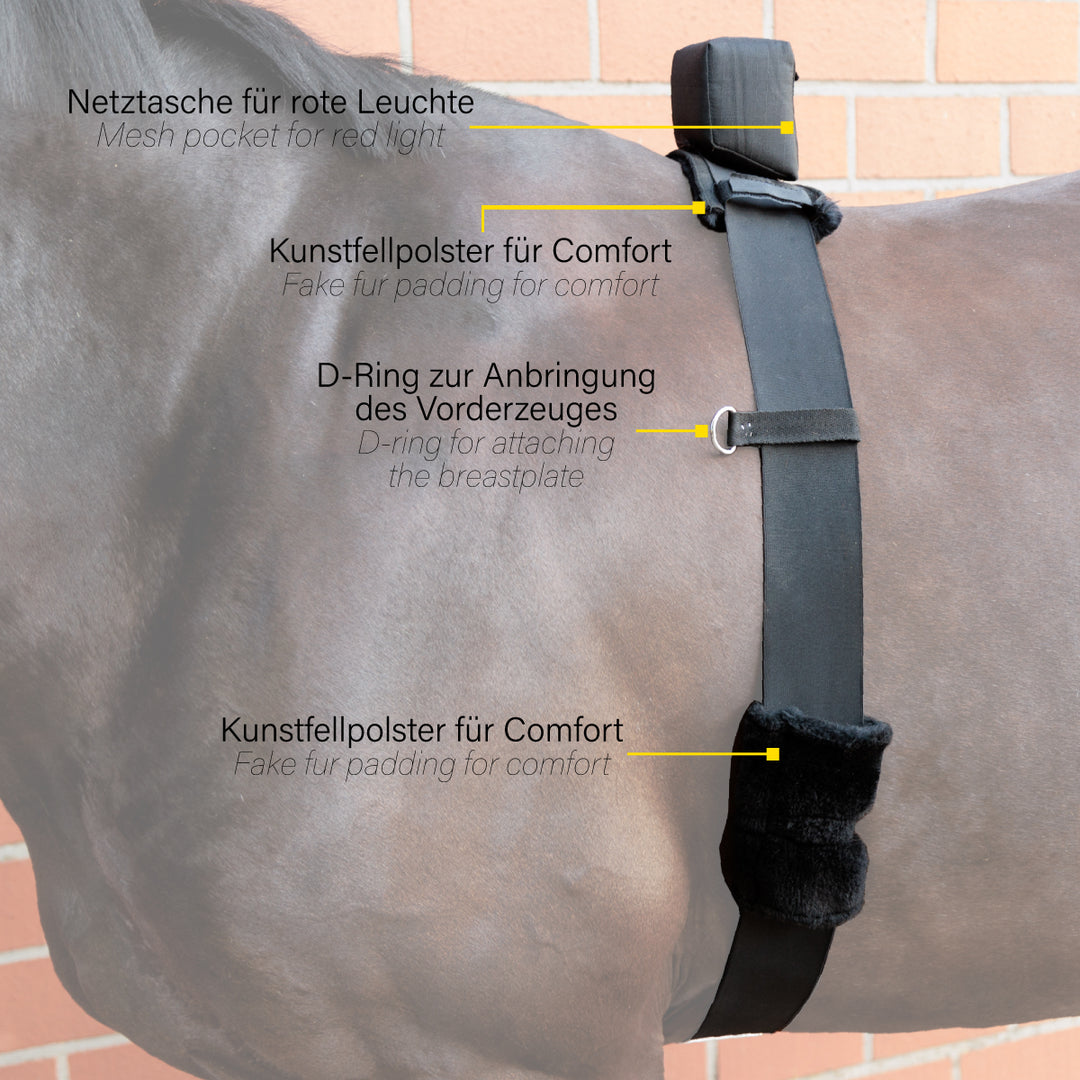 Bauchgurt Horselight – rote LED Rückleuchte