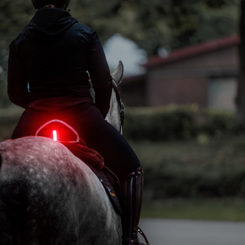 Sattelhusse Horselight – rote LED Rückleuchte