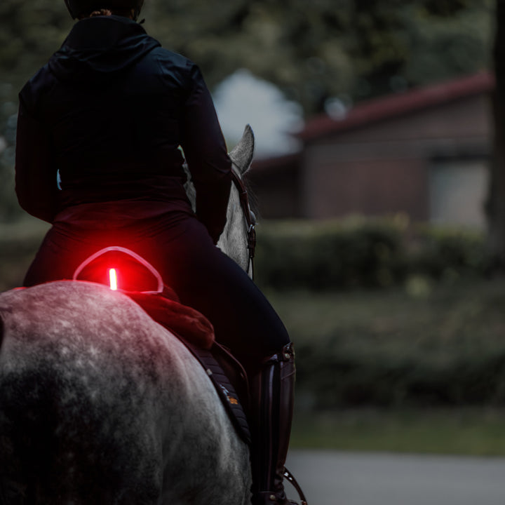 Sattelhusse Horselight – rote LED Rückleuchte