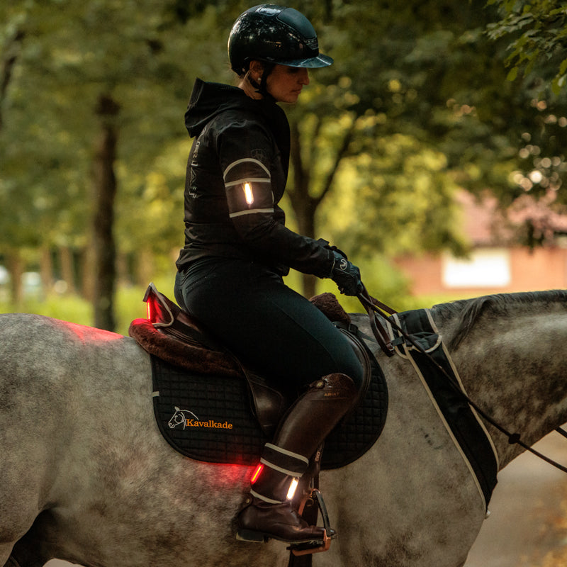 Armmanschetten Horselight – weiße LED