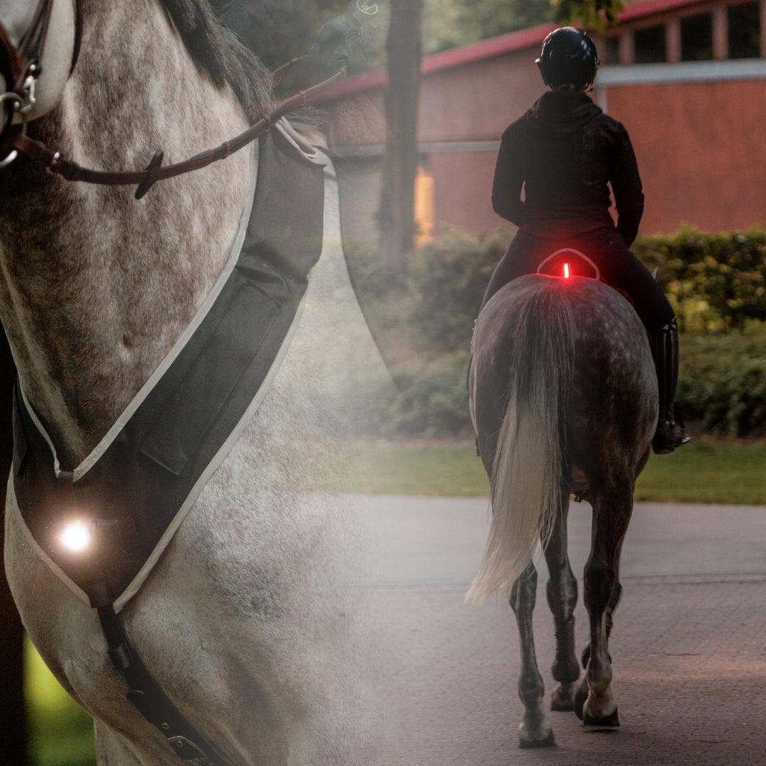 Kavalkade Horselight Set 1 - VZ + Sattelhusse inkl. Leuchten - IQ Horse
