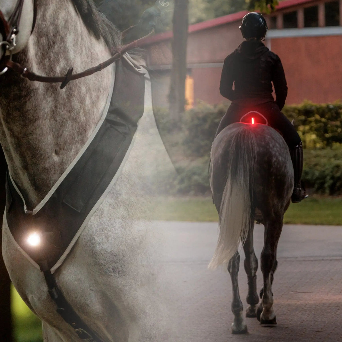 Kavalkade Horselight Set 1 - VZ + Sattelhusse inkl. Leuchten - IQ Horse