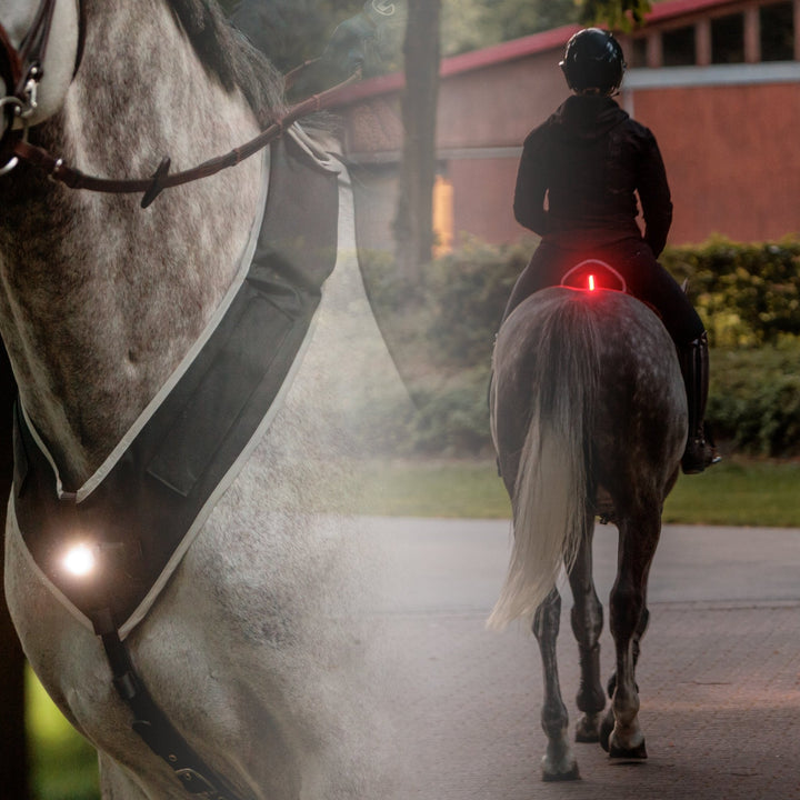Kavalkade Horselight Set 1 - VZ + Sattelhusse inkl. Leuchten - IQ Horse