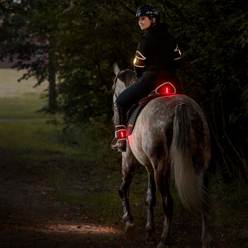 Kavalkade Horselight Set 1 - VZ + Sattelhusse inkl. Leuchten - IQ Horse