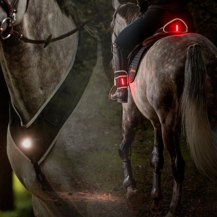 Horselight Set 2 Vorderzeug Sattelhusse Beinmanschetten