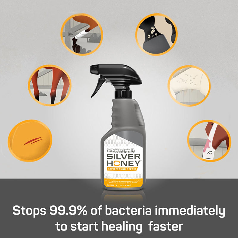 Silver Honey Wundspray 240 ml