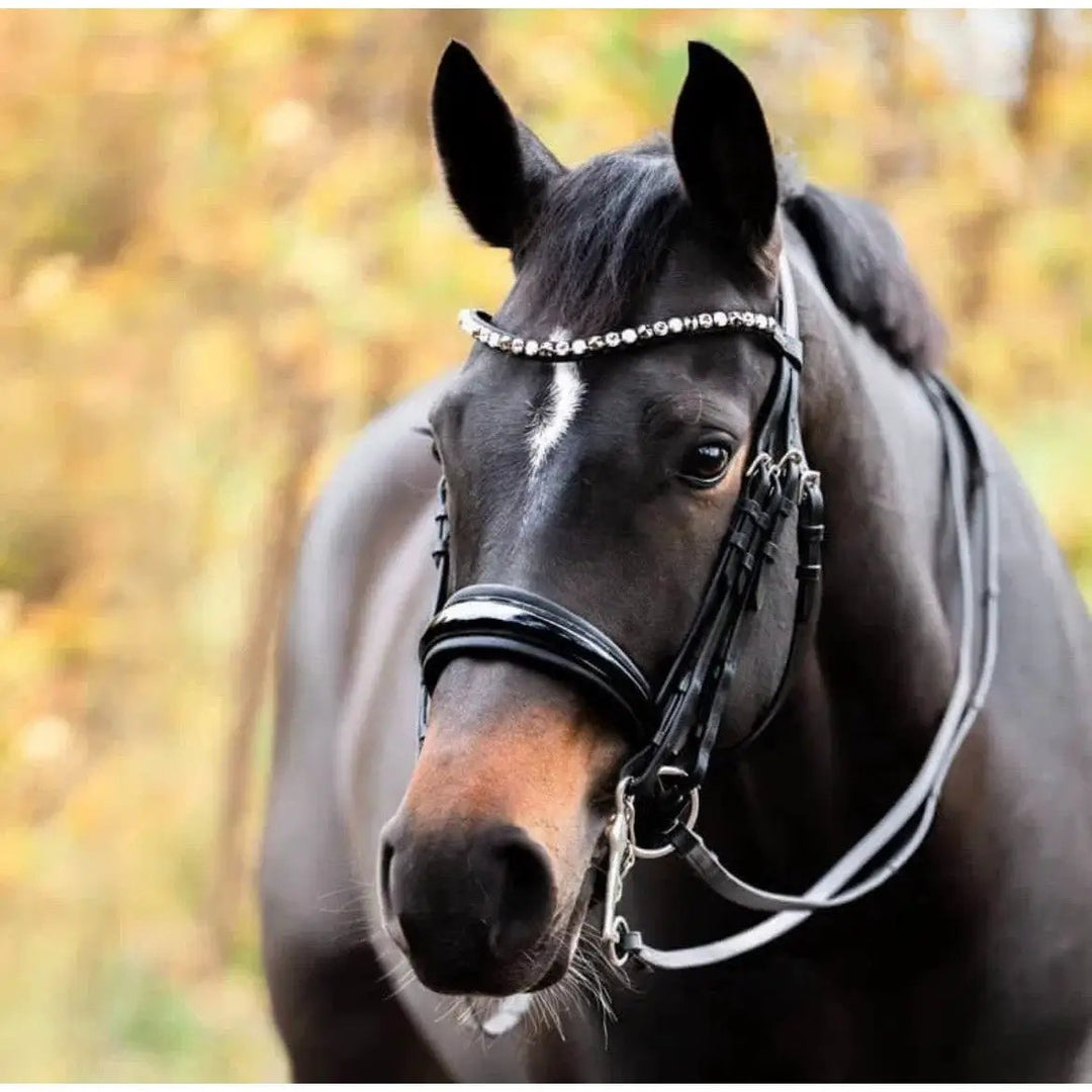 Kandare Selina – deutsches Leder mit schwedischem Reithalfter - IQ Horse