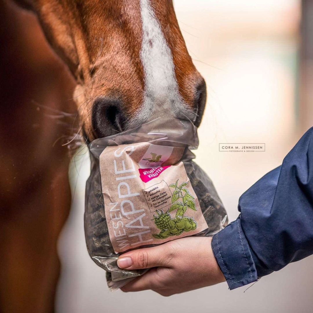 B&E Wiesen happies Wildbeere-Kräuter - IQ Horse