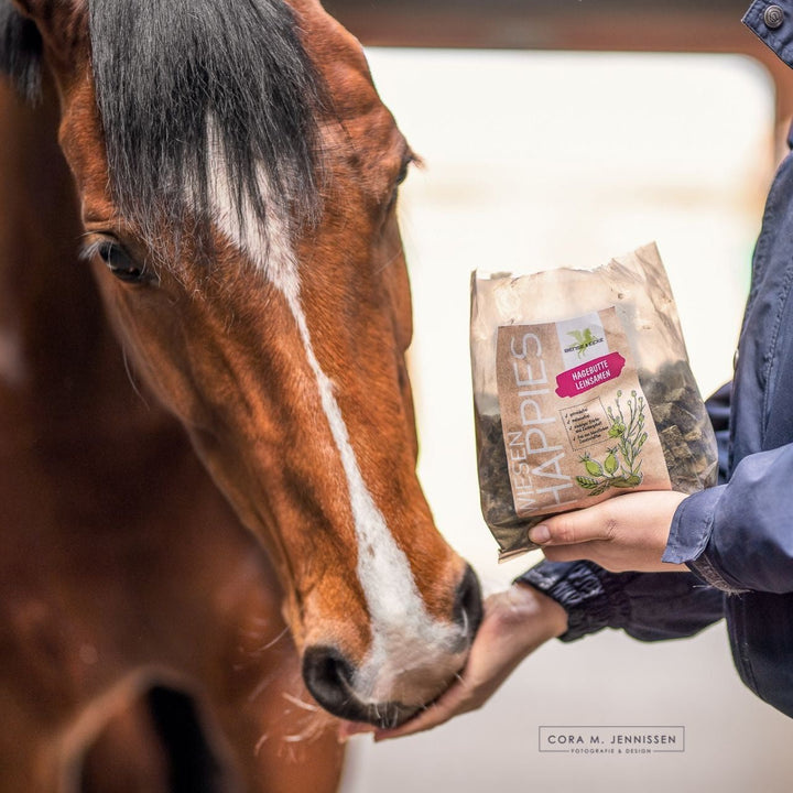 B&E Wiesen happies Hagebutte Leinsamen - IQ Horse