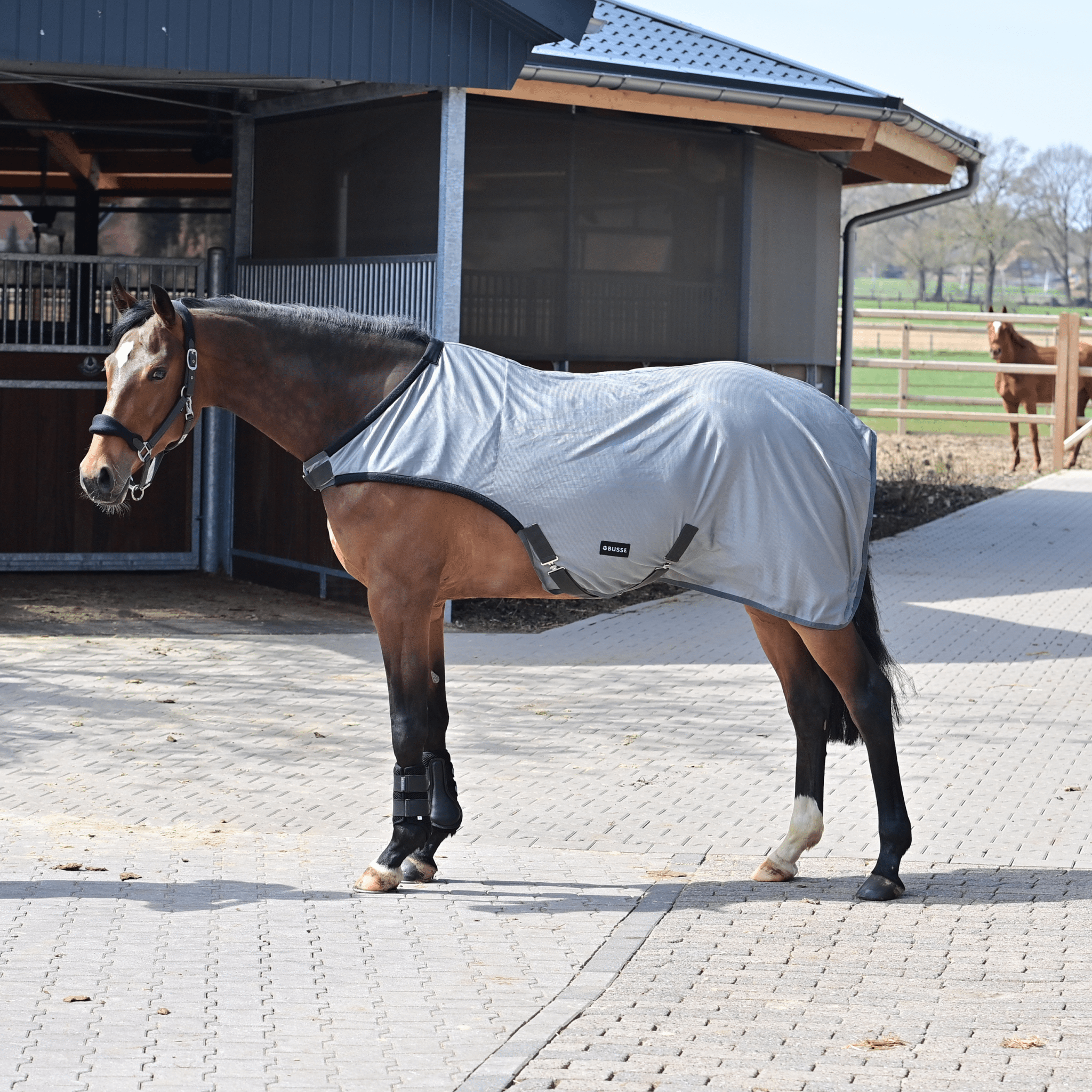 Busse Führanlagendecke Fly Comfort - IQ Horse