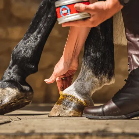 Carr & Day & Martin – Cornucrescine Hufsalbe – Förderung des Hufwachstums - IQ Horse