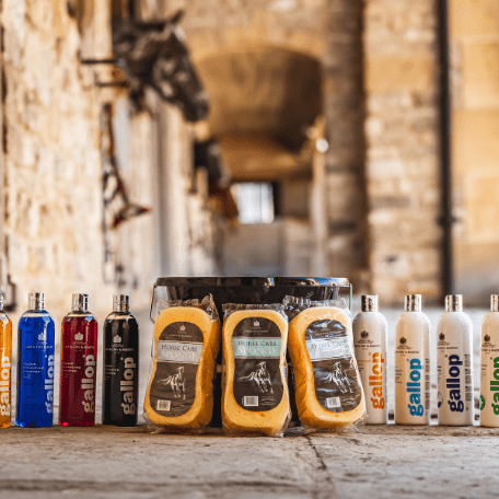 Carr & Day & Martin Pferdepflegeschwamm - IQ Horse