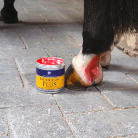Carr & Day & Martin – Protection Plus – Wundschutzsalbe Pferd - IQ Horse