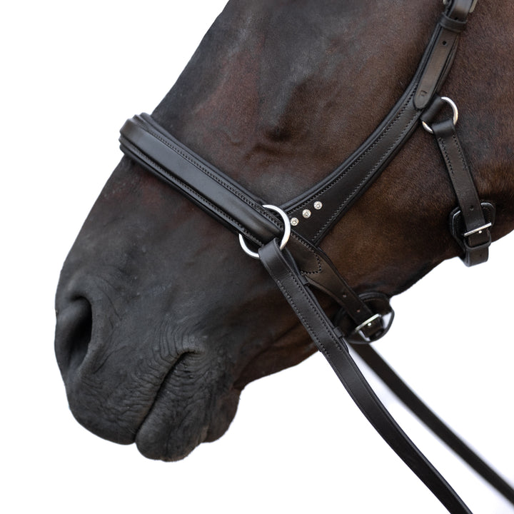 Trense Choice – Sidepull gebisslos
