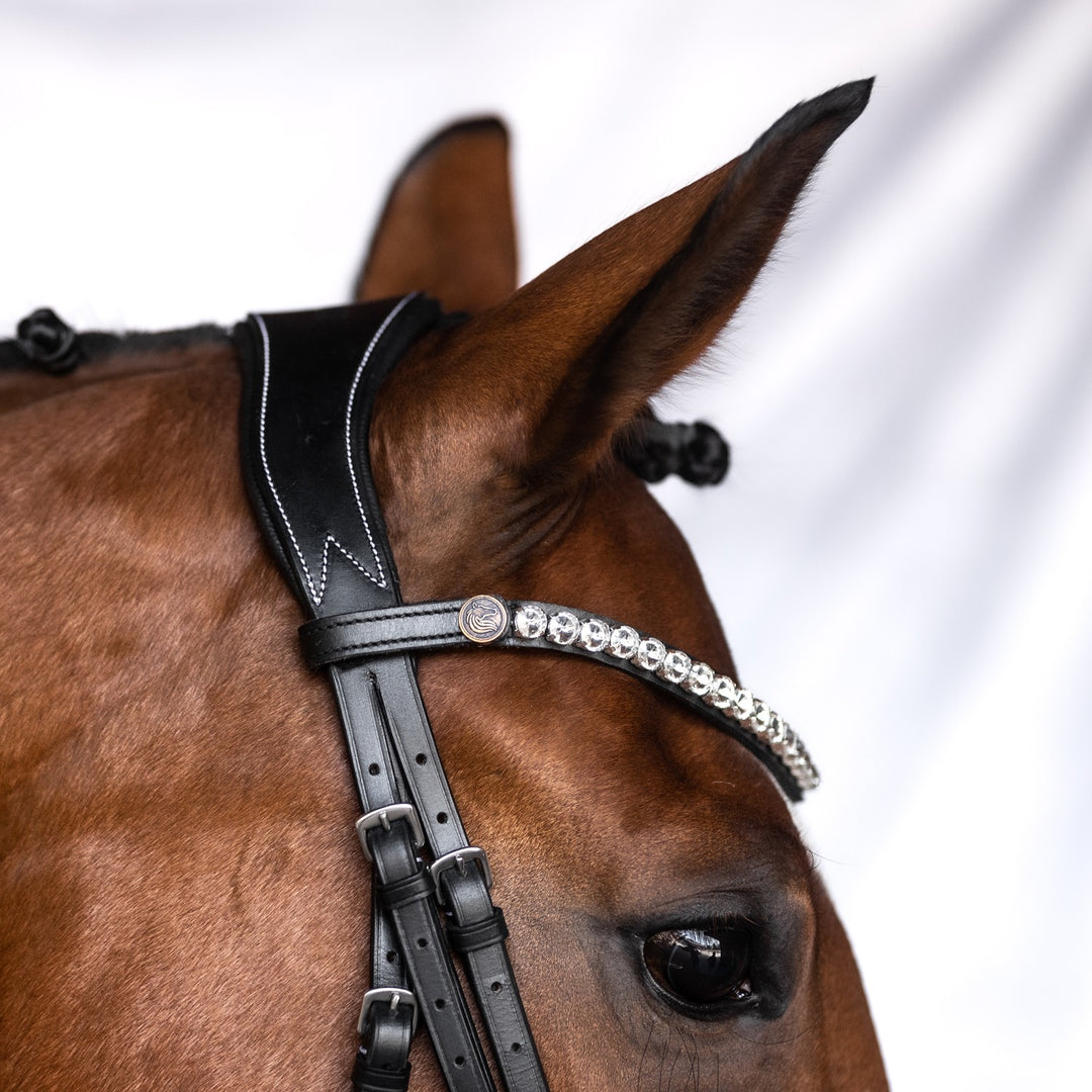 Bridlery anatomische Trense Focus, schwedisch - IQ Horse