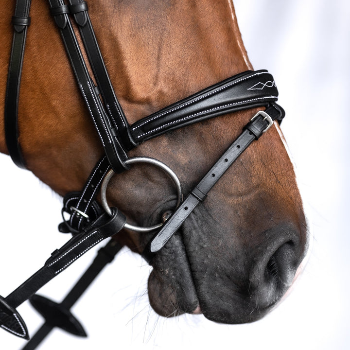 Bridlery anatomische Trense Focus, schwedisch - IQ Horse