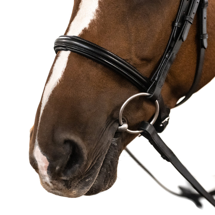 Englische Trense Superior – feine Riemen
