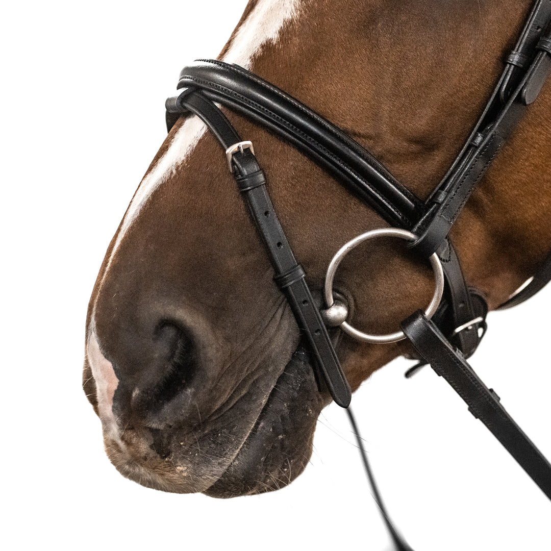 Englische Trense Superior – feine Riemen