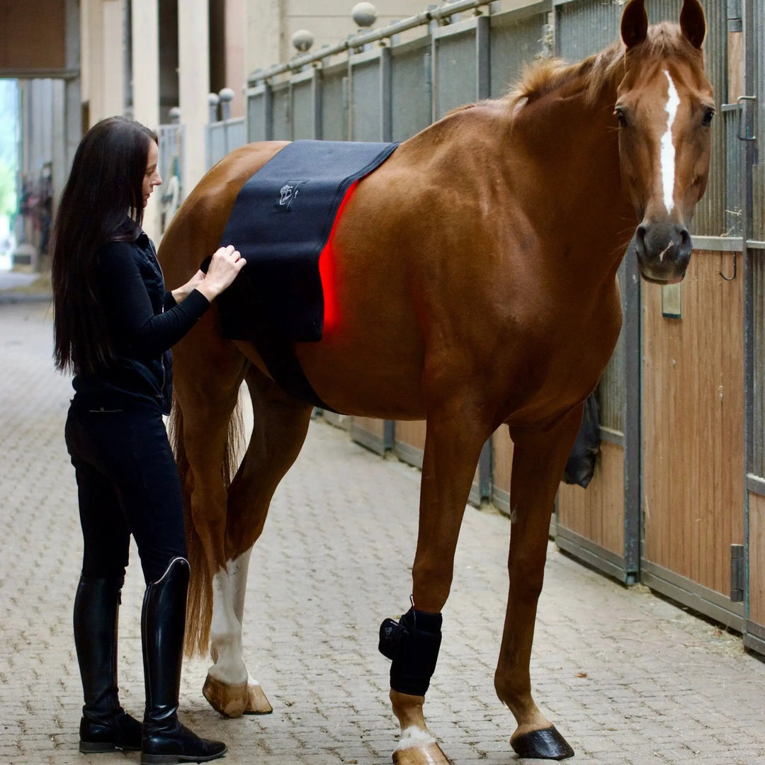 LuxMy Set – Starter (S - Pad + L - Pad) - IQ Horse