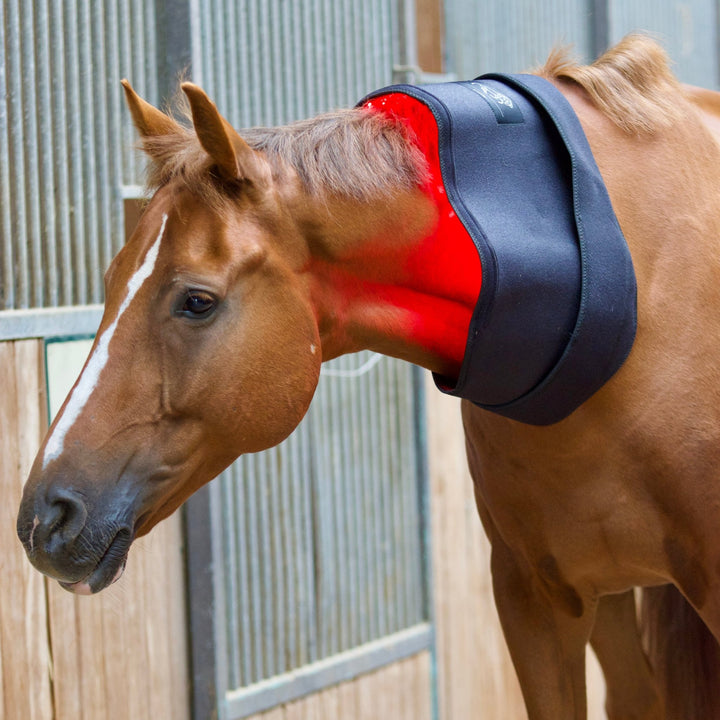 LuxMy L-Lichttherapie-Pad - IQ Horse