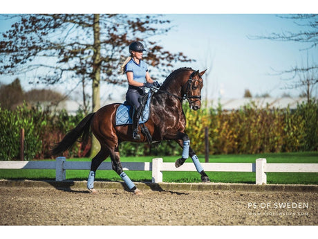 Ps of Sweden Poloshirt Daniella, Light Blue - IQ Horse