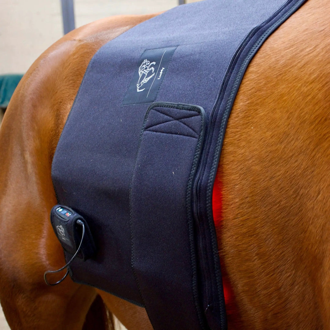 LuxMy L - Lichttherapie - Pad - IQ Horse