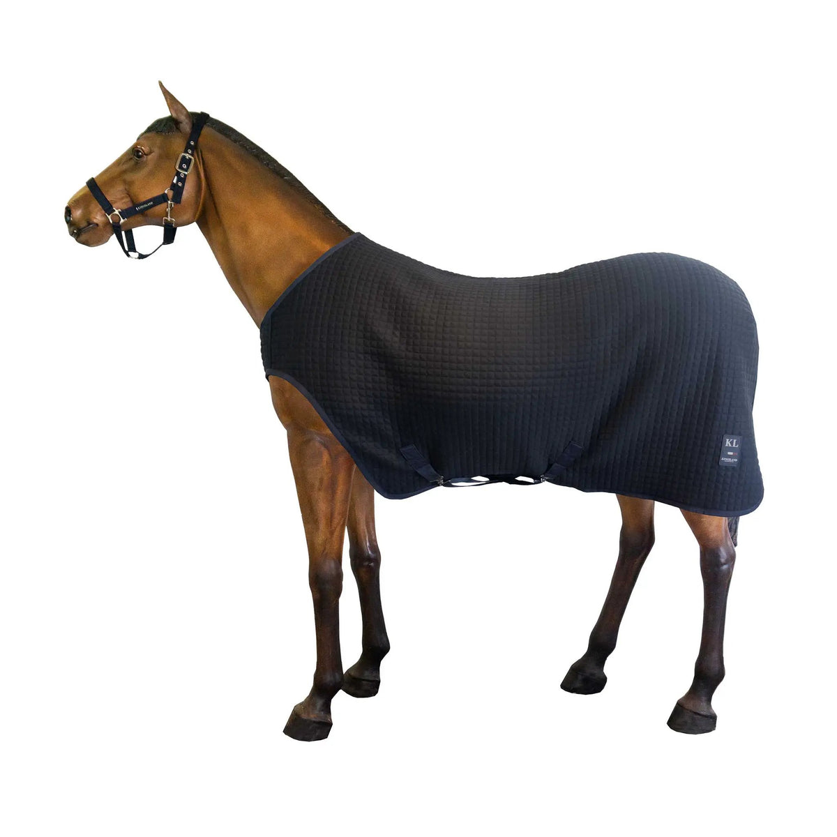 Kingsland Longierdecke WOOL EVOLUTION - IQ Horse