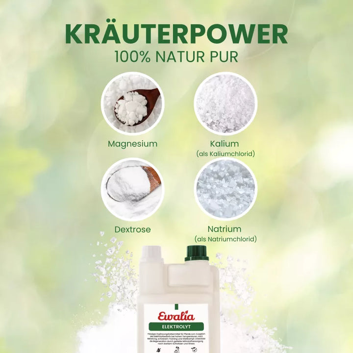 Ergänzungsfuttermittel Elektrolyt – flüssig, 1 l